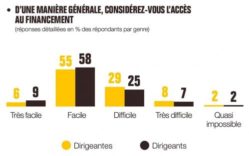 Acces au financement par genre