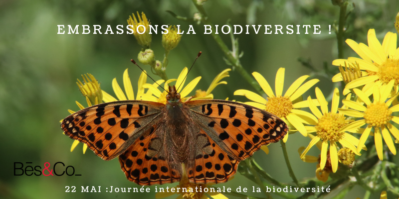 Préservation de la biodiversité et performance économique des entreprises