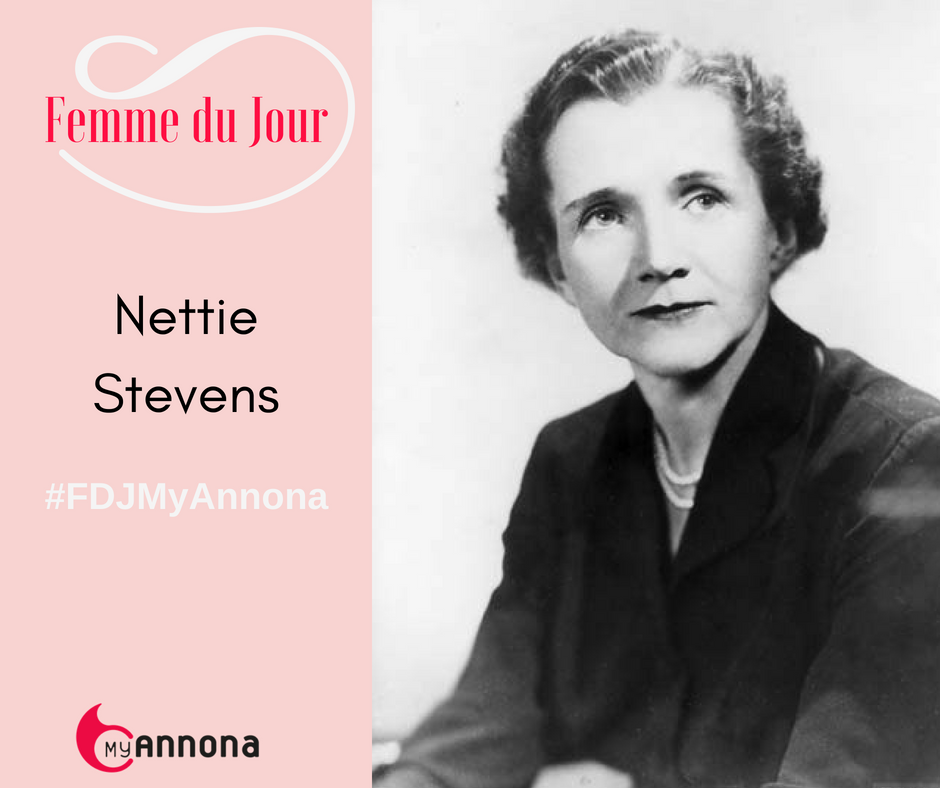 Nettie Stevens