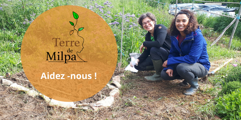 Terre de Milpa : mon coup de coeur